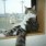TDN ドワーフ